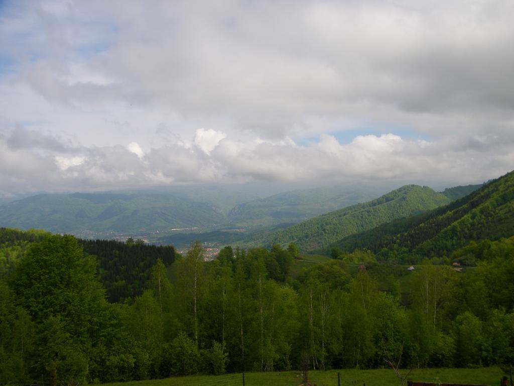 Pensiunea Bujor De Munte เปโตรชานิ ภายนอก รูปภาพ